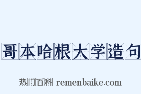 哥本哈根大学造句是什么意思的图片